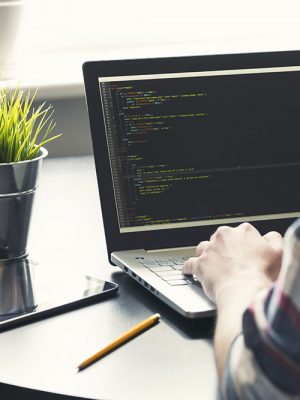 programmer working on laptop at office. focus on programming code