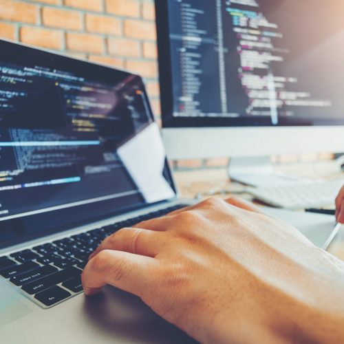 Developing programmer Team Development Website design and coding technologies working in software company office