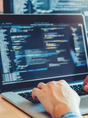 Developing programmer Development Website design and coding technologies working in software company office